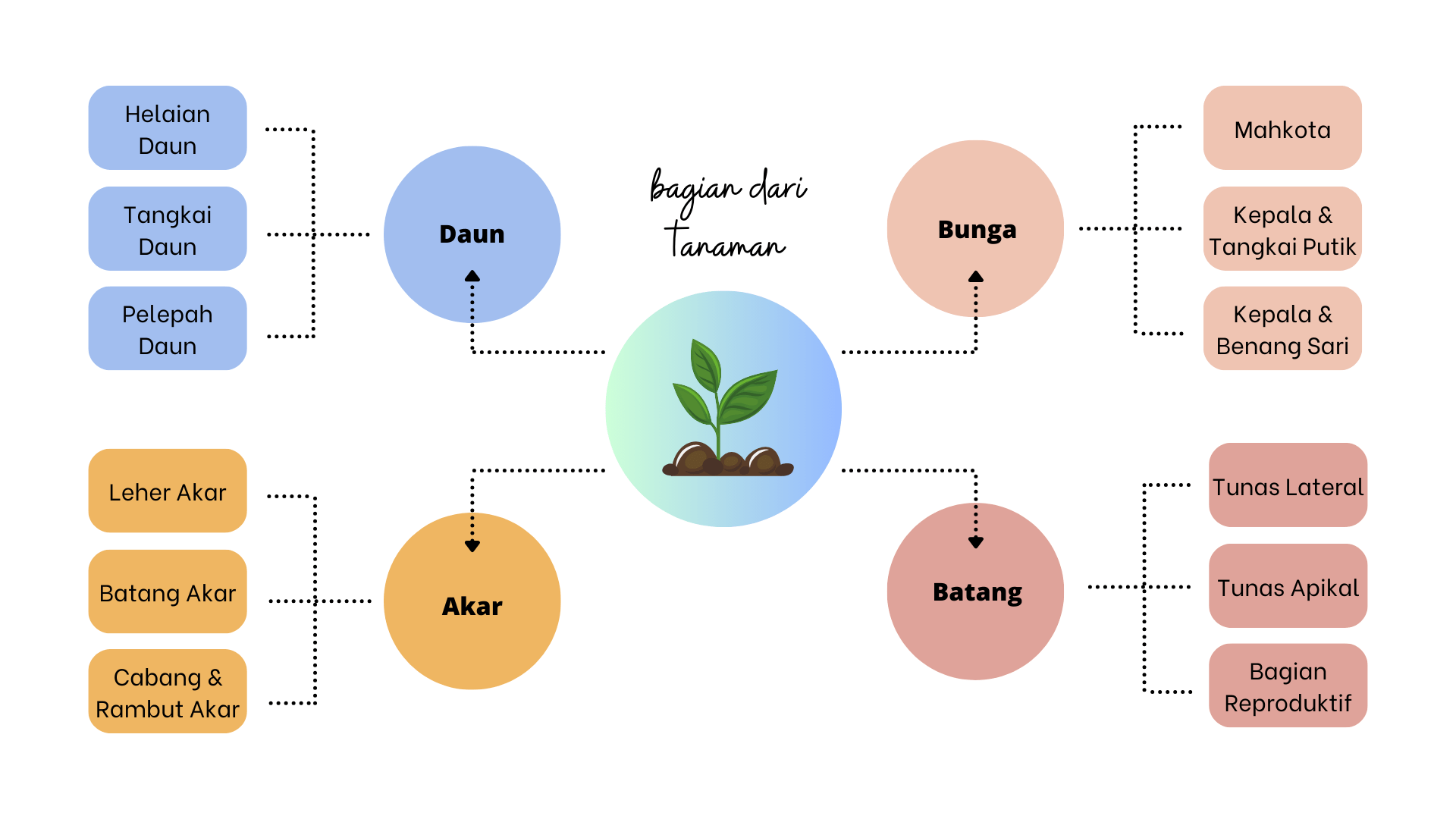 Spider Map/Brace Map
